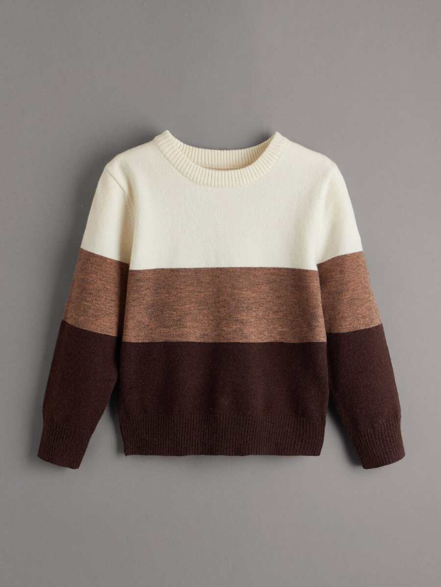SHEIN Leap Crew Chàng trai trẻ Cắt Và May Áo len - Nhiều màu - Xem 1