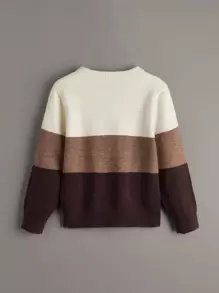SHEIN Leap Crew Chàng trai trẻ Cắt Và May Áo len - Nhiều màu - Xem 2
