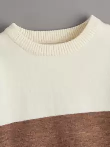 SHEIN Leap Crew Chàng trai trẻ Cắt Và May Áo len - Nhiều màu - Xem 3