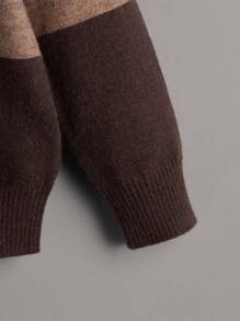 SHEIN Leap Crew Chàng trai trẻ Cắt Và May Áo len - Nhiều màu - Xem 4