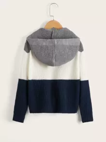 SHEIN Boys Cut And Sew Hooded Sweater - Multicolor - View 2