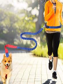 1入組隨機色寵物戶外牽引繩帶皮帶 - 彩色 - 查看 1