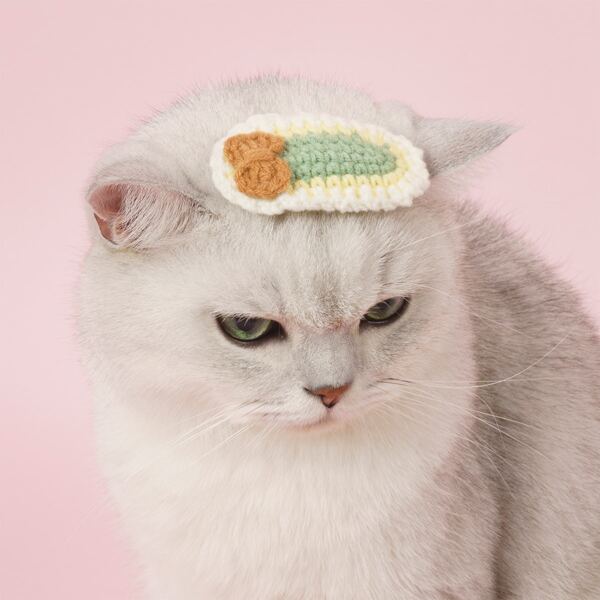 

1pc Knitted Pet Hair Clip, Multicolor