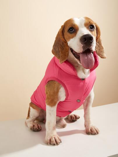 Haustier einfarbige Jacke