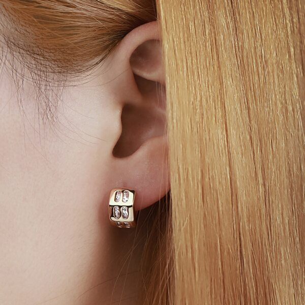 

18K Gold Plated Zircon Decor Earrings