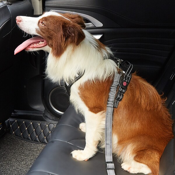 

1pc Pet Car Seat Belt, Grey