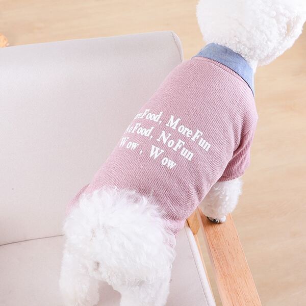 

Letter Graphic Pet Coat, Multicolor