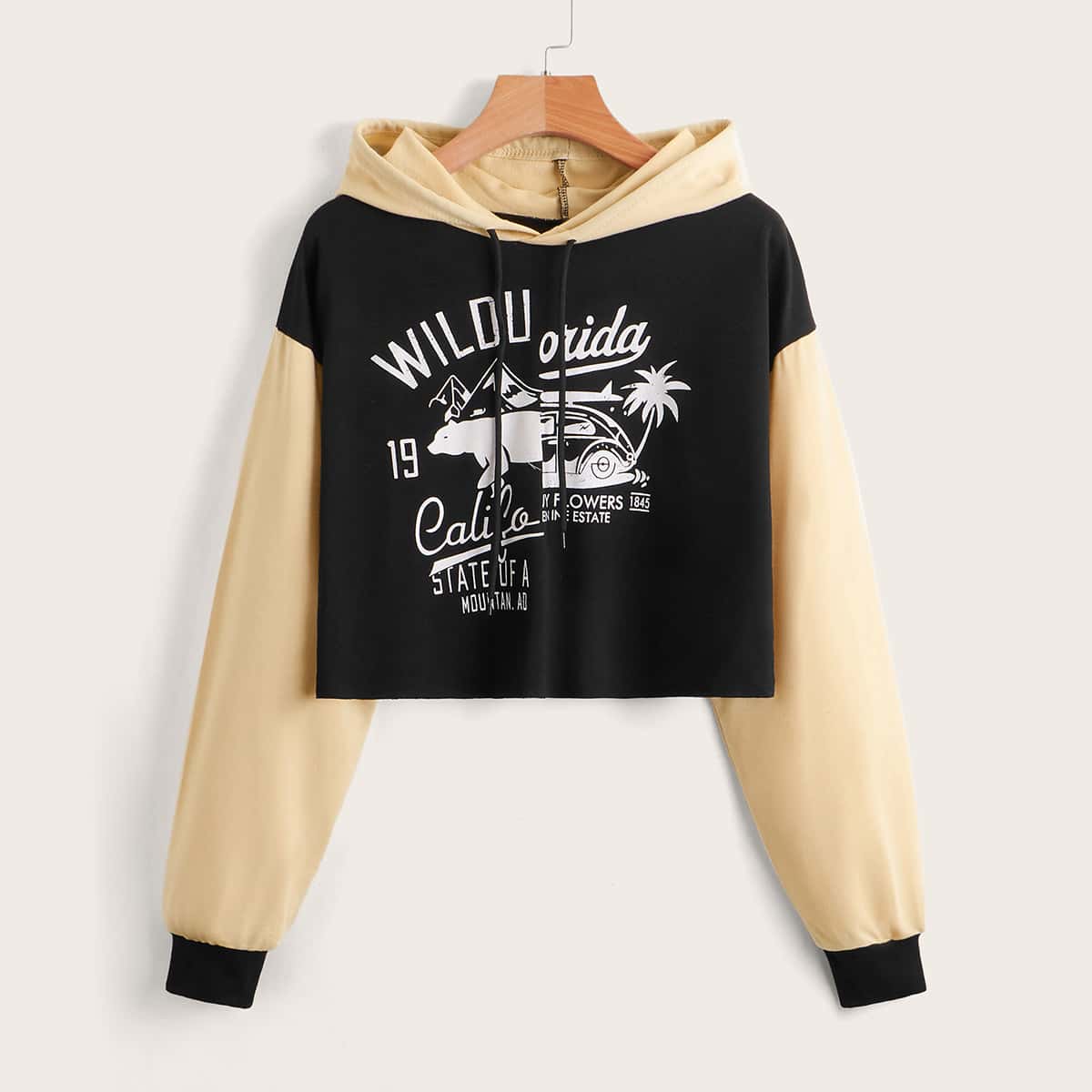 

Letter Graphic Colorblock Drawstring Hoodie, Black