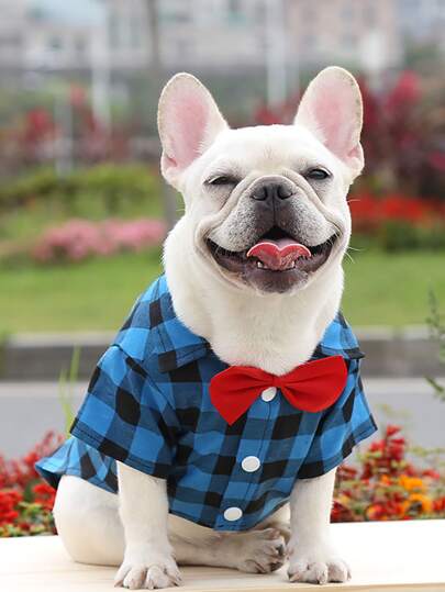 Camicia per animali domestici con decorato fiocco