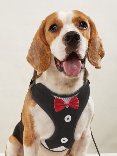 1 pezzo con decorato fiocco Pettorina per animali & 1 pezzo guinzaglio