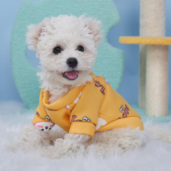 

Cartoon Graphic Pet Sweatshirt, Multicolor