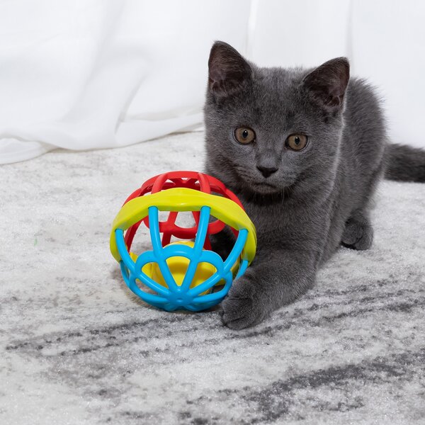 

1pc Pet Chasing Ball Toy, Multicolor