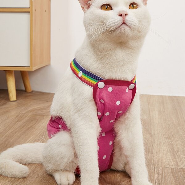 

Polka Dot Pattern Pet Sanitary Pant, Multicolor