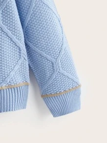 Toddler Boys Contrast Trim V-neck Button Up Cardigan - Blue - View 3