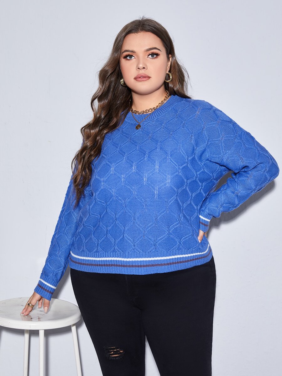 Calvaya Plus Striped Trim Batwing Sleeve Jumper - Blue - View 1