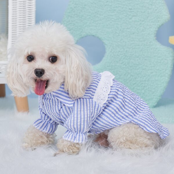 

Striped Pattern Pet Shirt, Multicolor