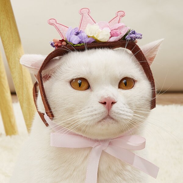 

Crown Decor Pet Headwear, Multicolor
