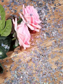 1pack Star Shaped Decorative Confetti, Plastic Sequin Shiny Star Throwing Confetti For Party,Christmas, Ramadan,Ramadan Decor,Eid Mubarak - Silver - View 3