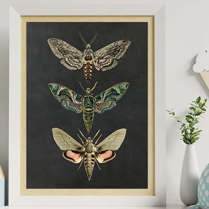

Butterfly Print Unframed Painting, Multicolor
