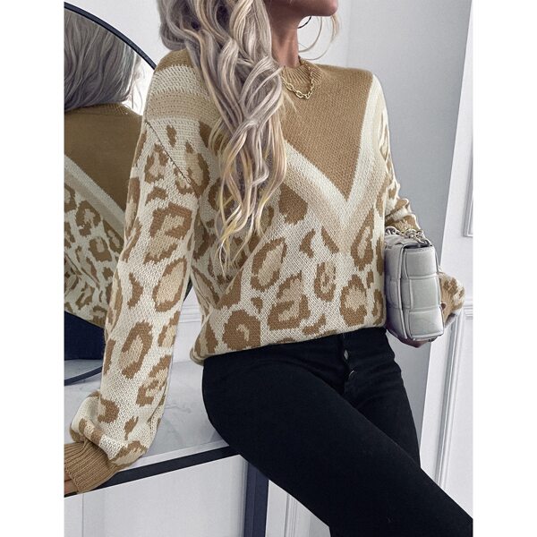 

Leopard & Color Block Pattern Sweater, Multicolor