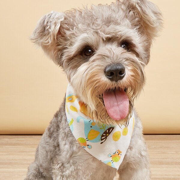 

Cartoon Graphic Pet Bandana, Multicolor