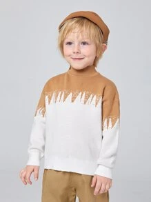 SHEIN 小男童雙色落肩袖套頭毛衣 - 彩色 - 查看 1