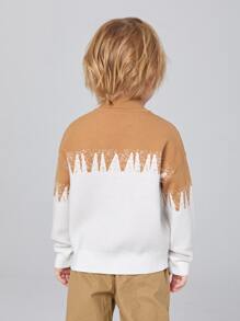 SHEIN 小男童雙色落肩袖套頭毛衣 - 彩色 - 查看 2