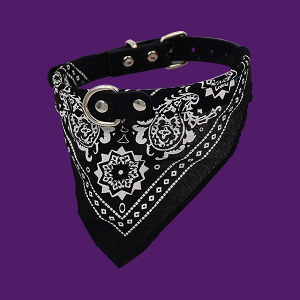 

Graphic Print Pet Bandana, Black and white