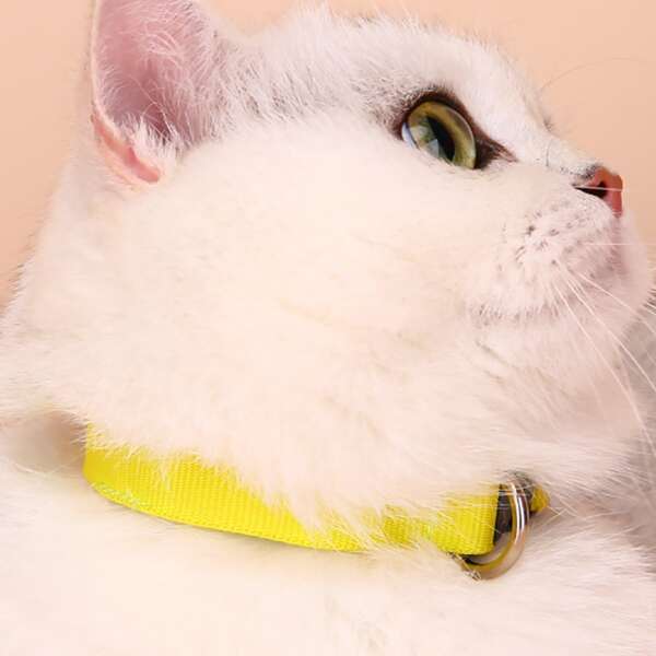 

1pc Nylon Pet Collar, Yellow