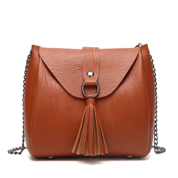 

Tassel Decor Flap Square Bag, Brown