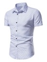 Blue and White