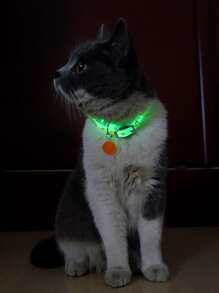 1pc Mẫu ngẫu nhiên Pet Glow Collar - Nhiều màu - Xem 2