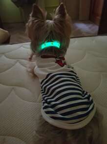 1pc Mẫu ngẫu nhiên Pet Glow Collar - Nhiều màu - Xem 7
