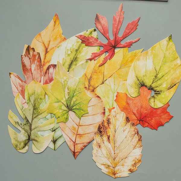 

30pcs Leaf Shaped Greeting Card, Multicolor
