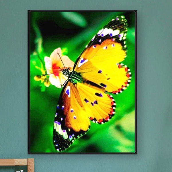 

Butterfly Print DIY Diamond Unframed Painting, Multicolor