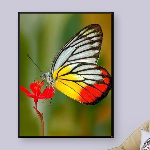 

Butterfly Print DIY Diamond Unframed Painting, Multicolor