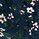 Nhiều màu