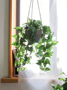 1pc Artificial Potted Plants, Valentine Day, Gift Gifts Birthday Graduation