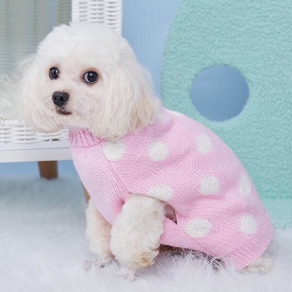 

Polka Dot Pattern Pet Sweater, Multicolor