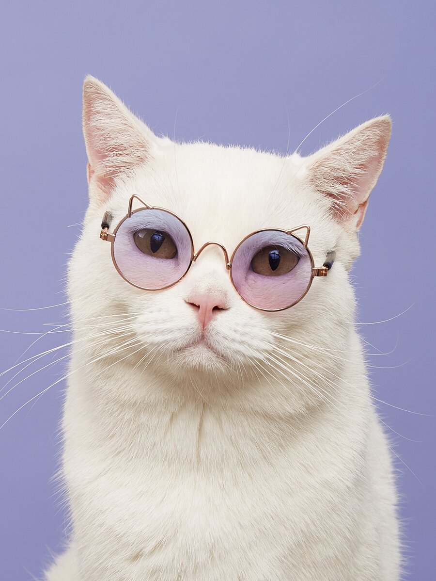 Cat Shaped Pet Glasses - Multicolor - View 1