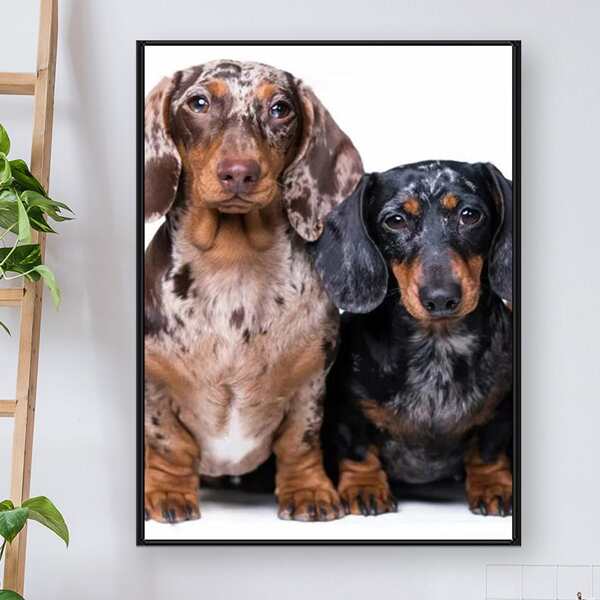 

Dog Print DIY Diamond Unframed Painting, Multicolor