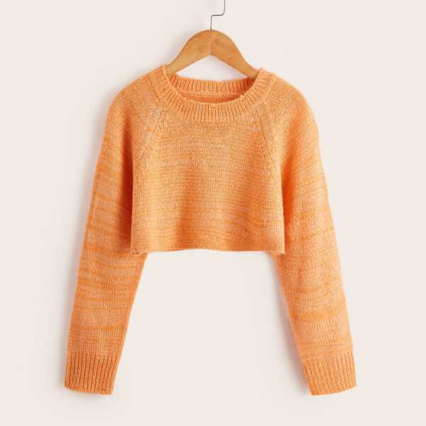 

Girls Solid Raglan Sleeve Crop Sweater, Orange