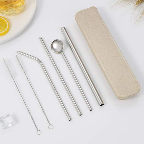 

6pcs Stainless Steel Straw & Cleaning Brush Set, Silver