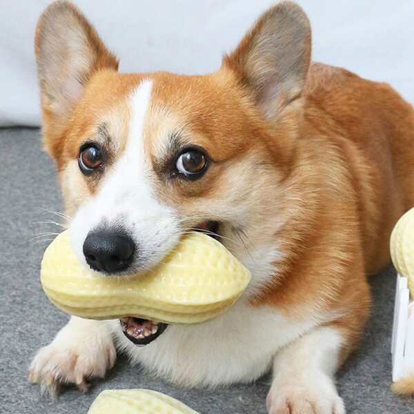 

1pc Peanut Shaped Pet Sound Toy, Yellow
