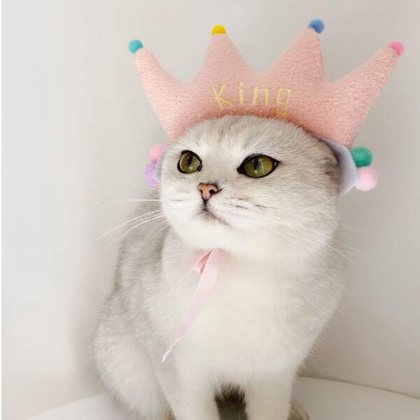 

1pc Crown Pet Headwear, Multicolor
