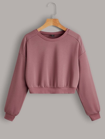 SHEIN EZwear 2pcs Solid Raglan Sleeve Sweatshirt,Long Sleeve Tops In Fall/Winter