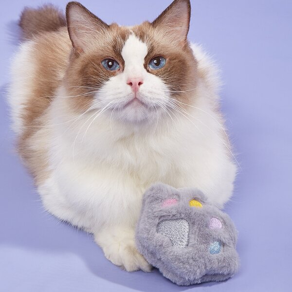 

Cat Paw Shaped Pet Plush Toy, Grey