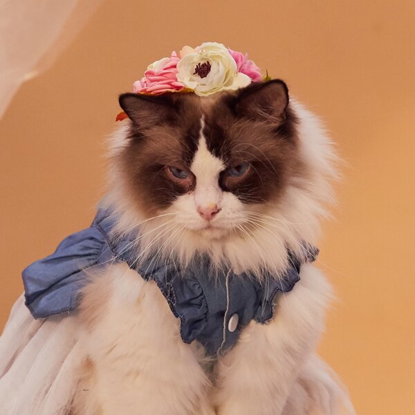

Artificial Flower Decor Pet Headwear, Multicolor