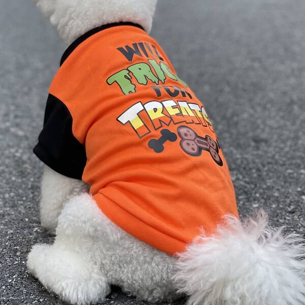 

Halloween Letter Graphic Pet Tee, Multicolor