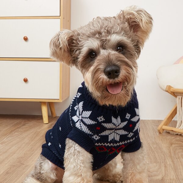 

Geometric Pattern Pet Sweater, Multicolor